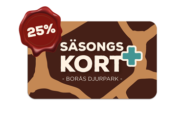 Bild för: SÄSONGSKORT PLUS 