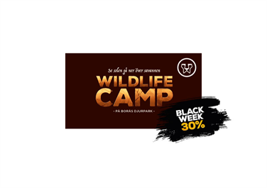 Bild för: WILDLIFE CAMP